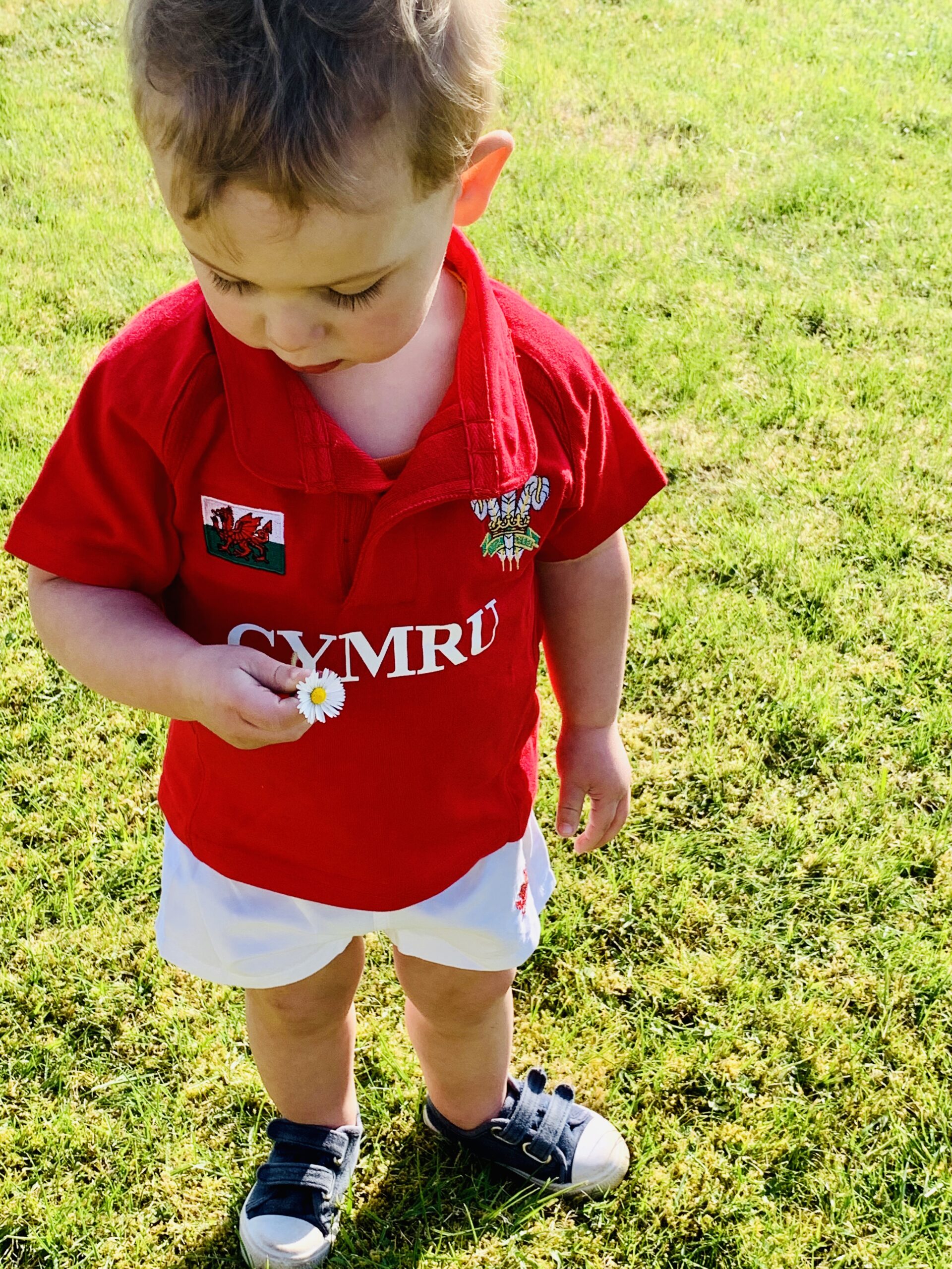 1 years to 5 years child rugby kit tshirt and shorts Pwyth Pistyll