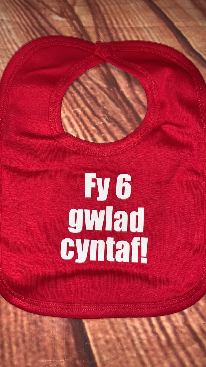 Welsh my first six nations baby bib