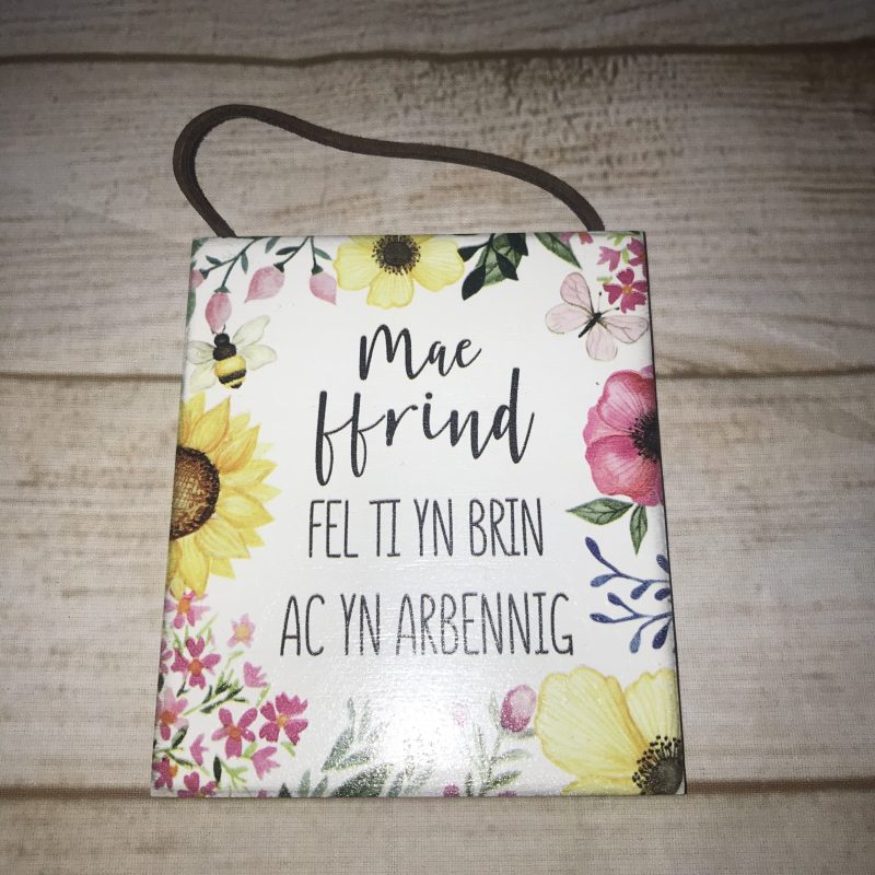 Welsh Plaques Love / Friend / Sister - Image 7