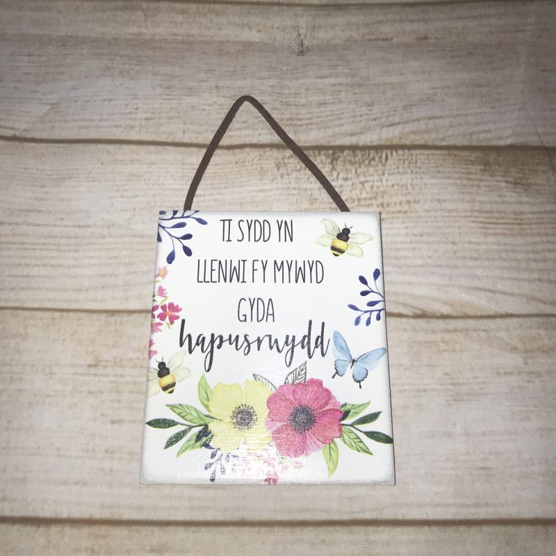 Welsh Plaques Love / Friend / Sister - Image 5