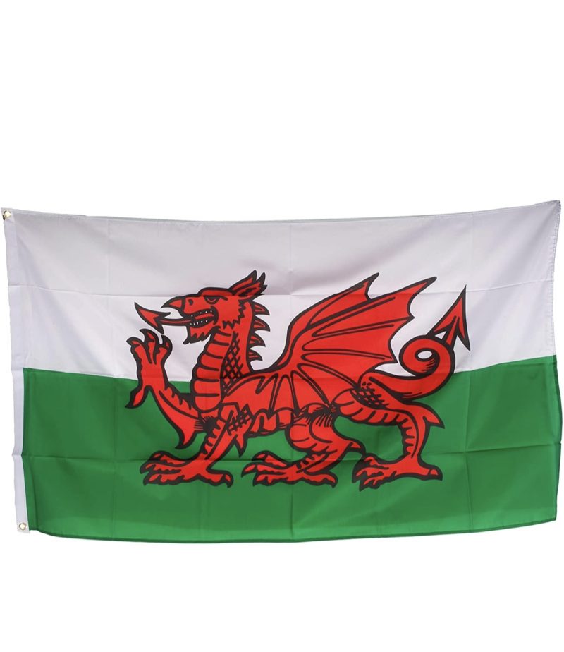 Welsh dragon 2ftx3ft flag