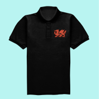 polo taid draig