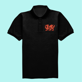 polo taid draig polo taid draig