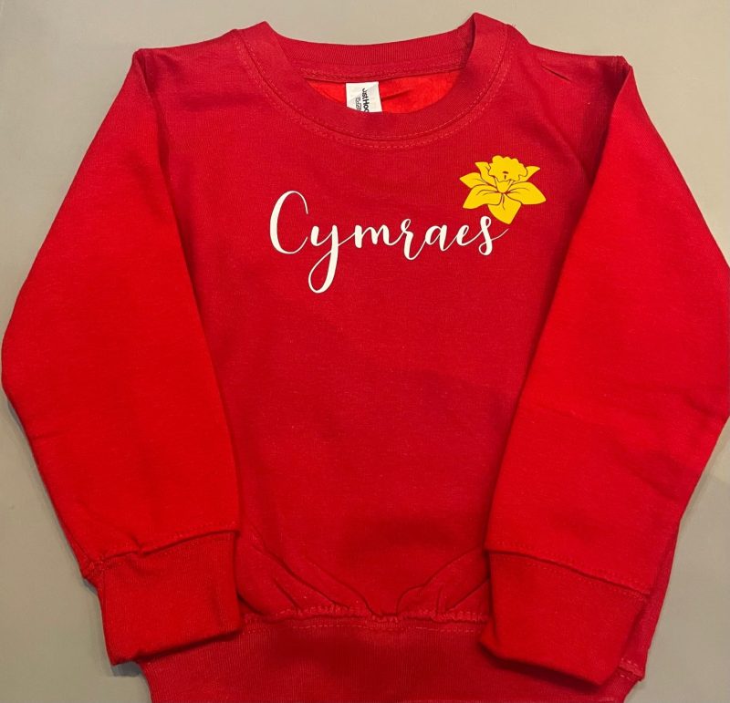 Cymro/Cymraes  jumpers/siwmperi - Image 2