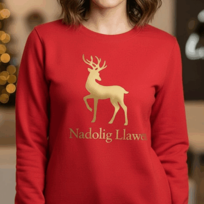 Red gold reindeer Welsh child and adult Christmas jumper-ready made