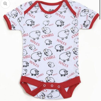 0-12 months wales baby vest