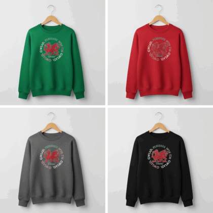 Wales ‘PLEIDIOL’ child and adult jumper-made to order