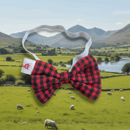 Bow tei gwisg cymreig