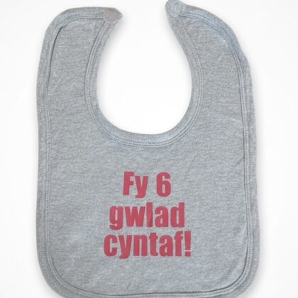 Fy 6 gwlad cyntaf bib my first 6 nations welsh