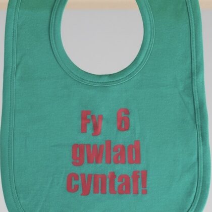 Faded sale Fy 6 gwlad cyntaf bib my first 6 nations welsh