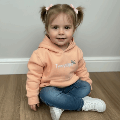 Tywysoges welsh salmon Hoodie 6months -6 years