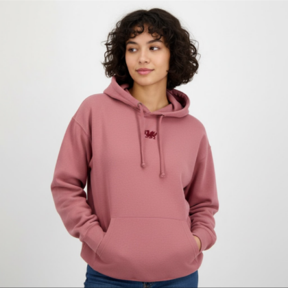 Embroidered wales dragon hoodies