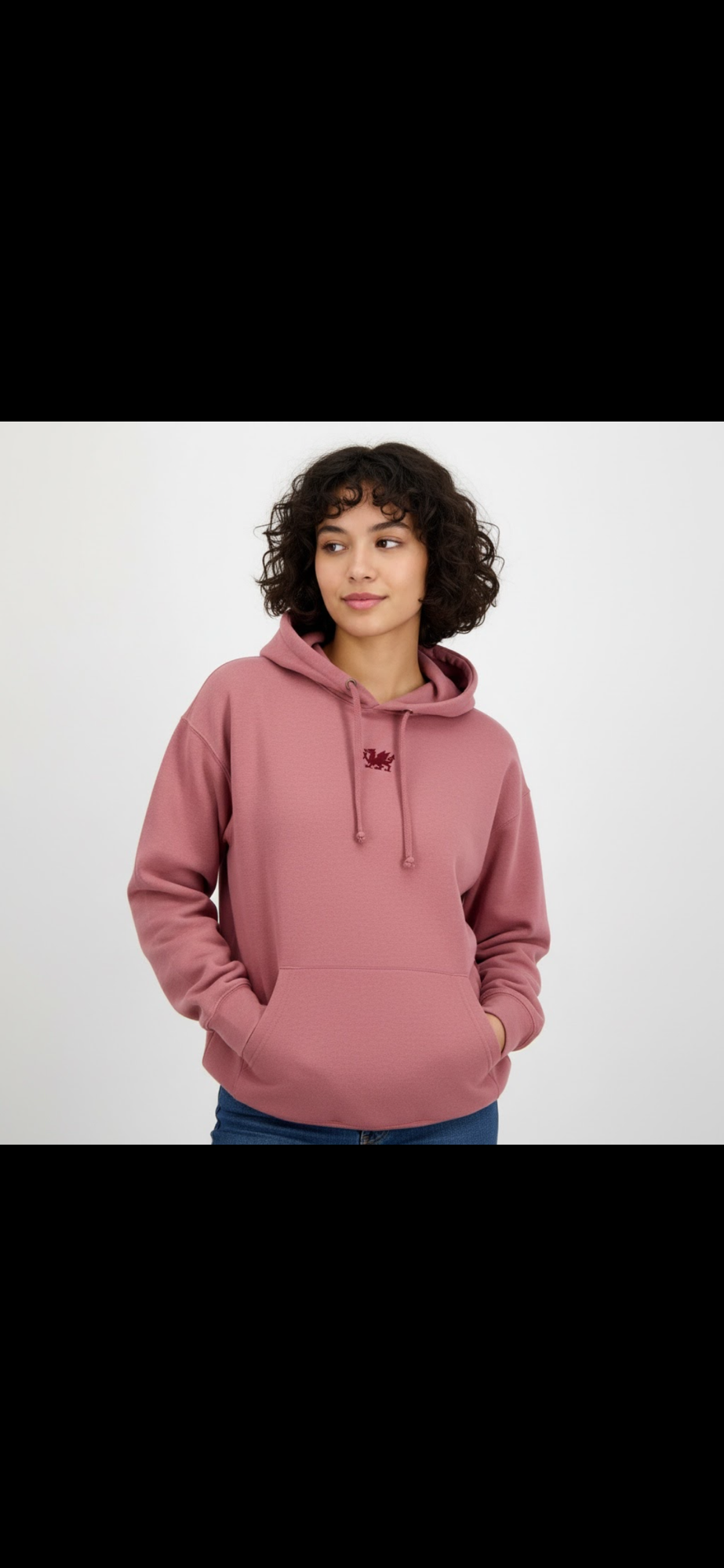 Embroidered wales dragon hoodies