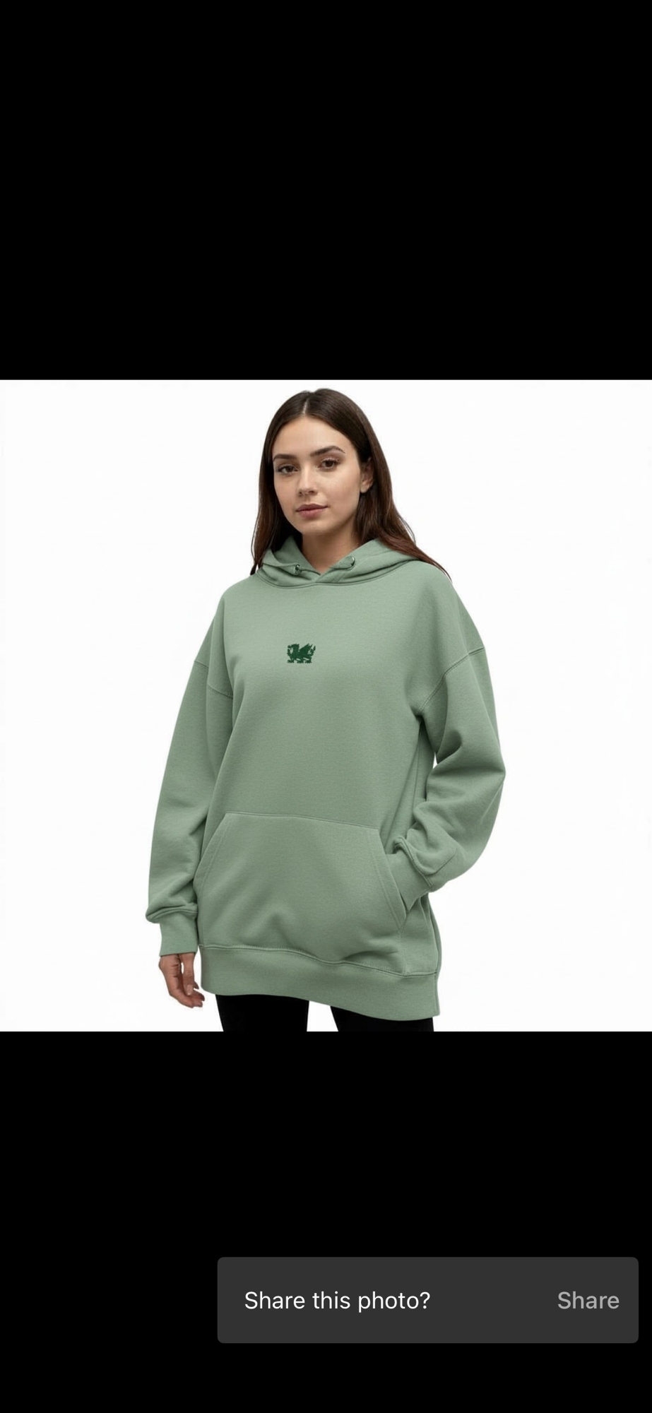 Embroidered wales dragon hoodies - Image 3